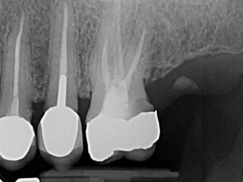 Gualini Diagnostica Gualini Diagnostica